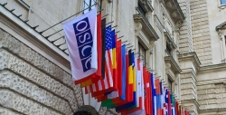 Госдума и Совфед сообщили о приостановке участия российских депутатов а работе ПА ОБСЕ