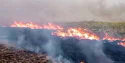 Власти Ростовской области ввели режим ЧС из-за пожаров