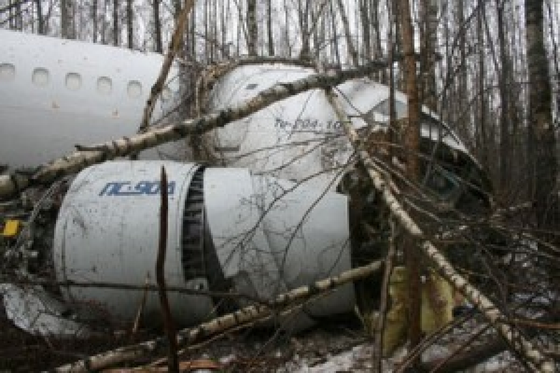 В катастрофе Ан-148 погибли семь человек