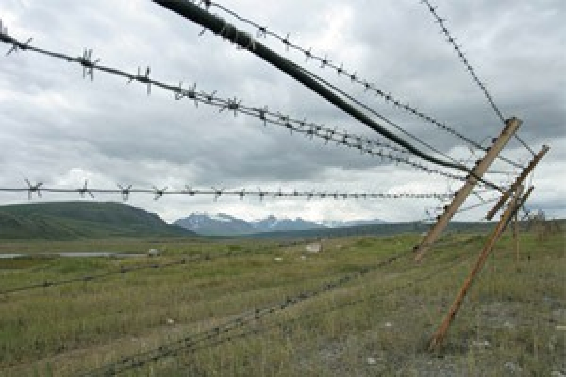 Пропавших в Казахстане пограничников нашли