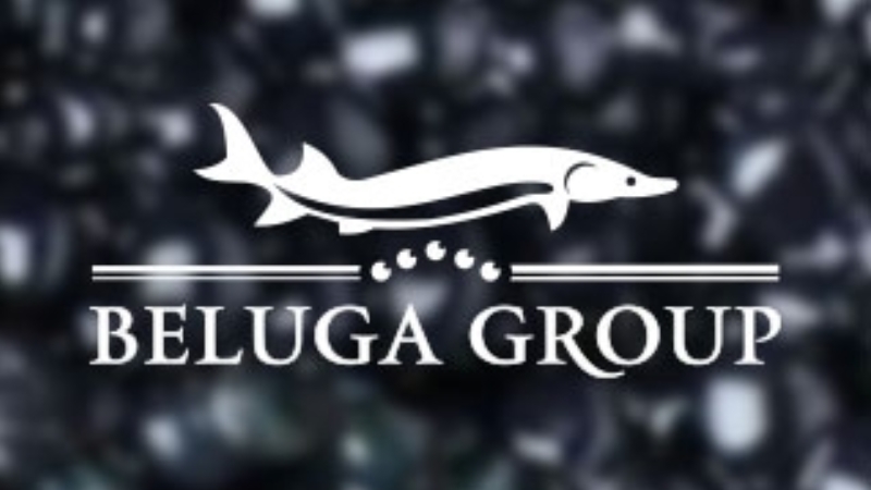 BELUGA GROUP